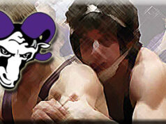 2018-19 Cornell Preview