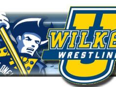 Why wrestlers are forever in debt to the sport – Pankil Chander