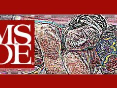 Mike Schmidt takes over MSOE