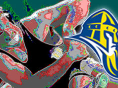 Augustana Full-Time Assistant