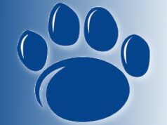 Robert Patnesky to coach Penn State Behrend