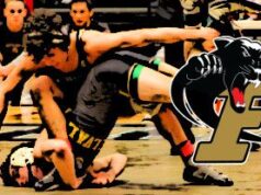 Ferrum moving to DII in 2025