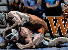 McKinney to succeed Headlee at Waynesburg