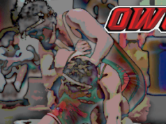 Ohio Wesleyan Full-Time Assistant