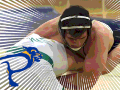 Schwab named interim coach at Pitt-Bradford