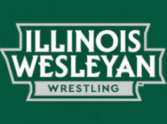 Richards named interim coach at Illinois Wesleyan